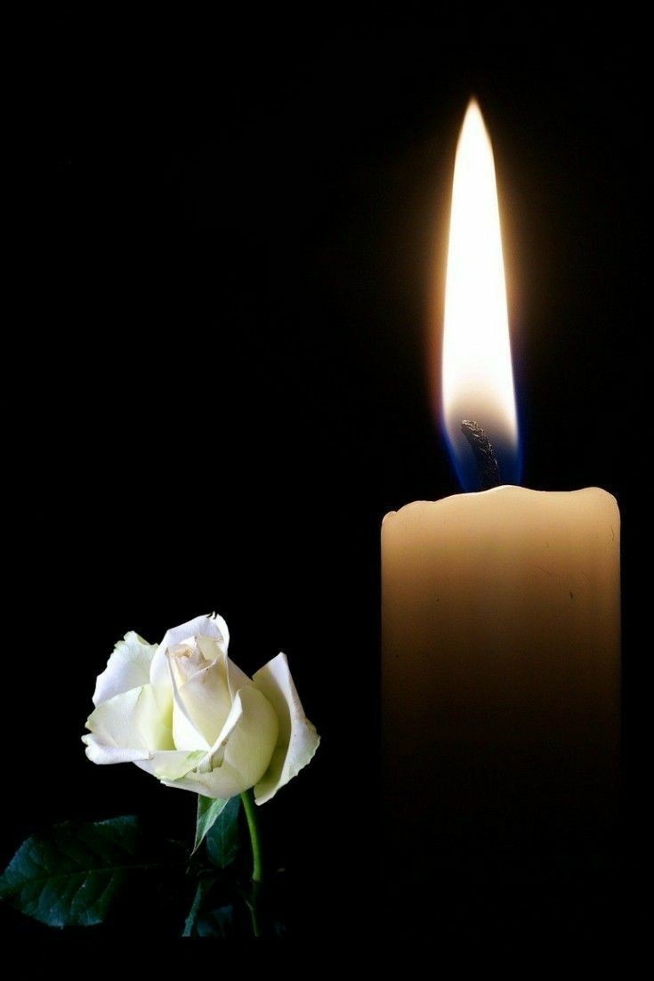condolenate MT 2