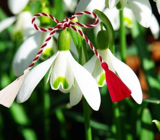 martisor 1