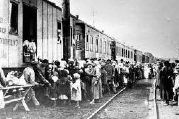 vic-deport-3B96686AE-7E3F-BA6F-0D03-12544C337B5E.jpg