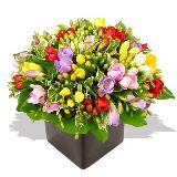 flori msg